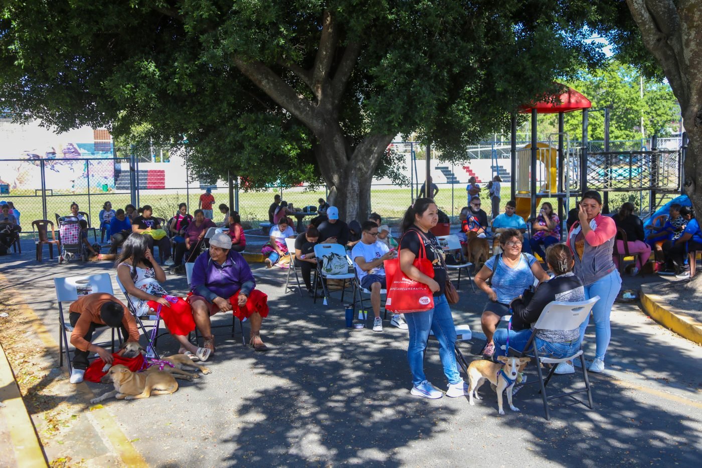 Jornada en Zacamil