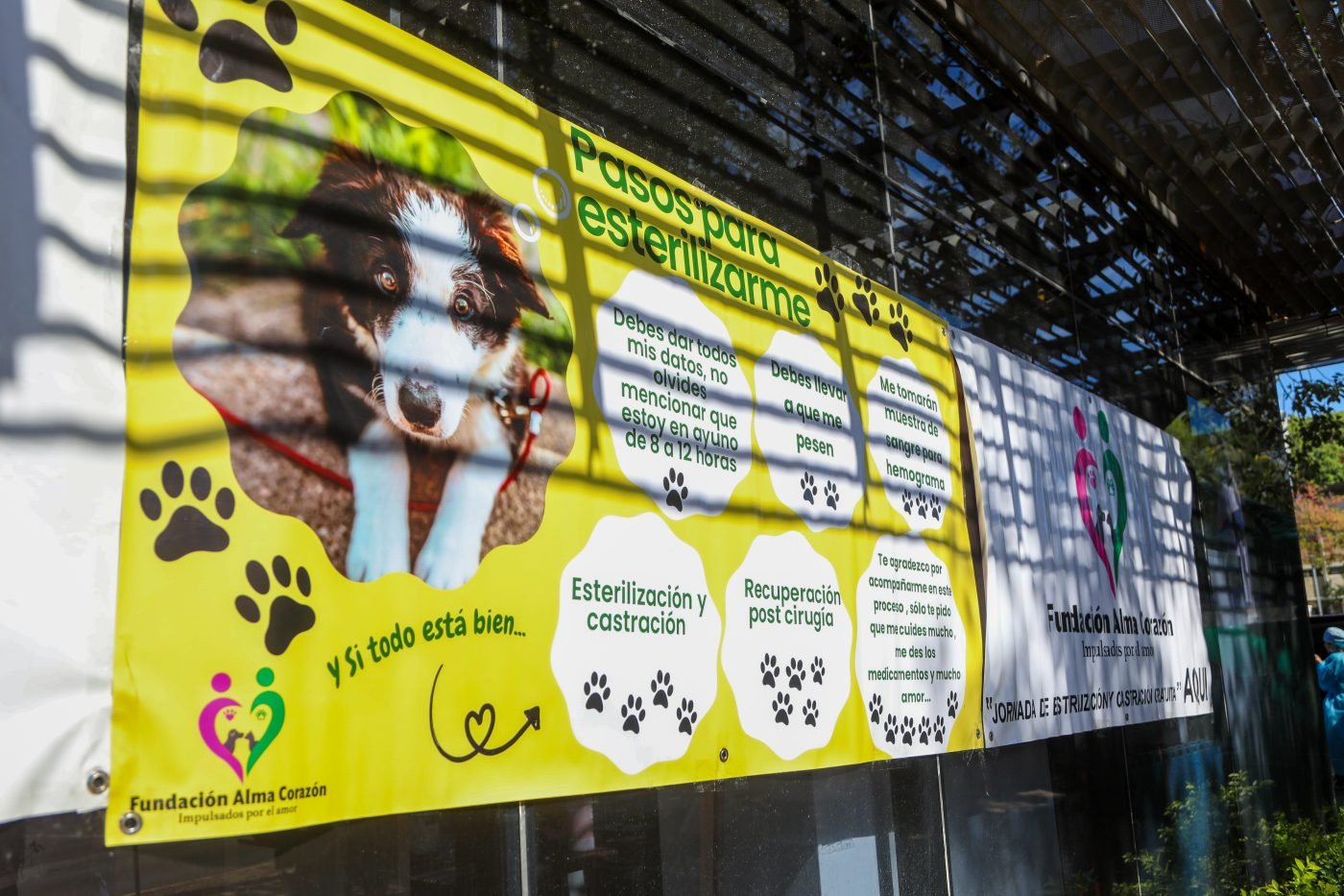 Jornada en Zacamil
